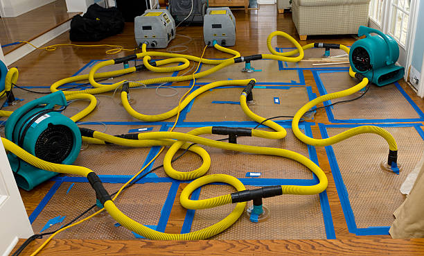 Professional Structural Drying And Dehumidification technician working in Chisholm, MN